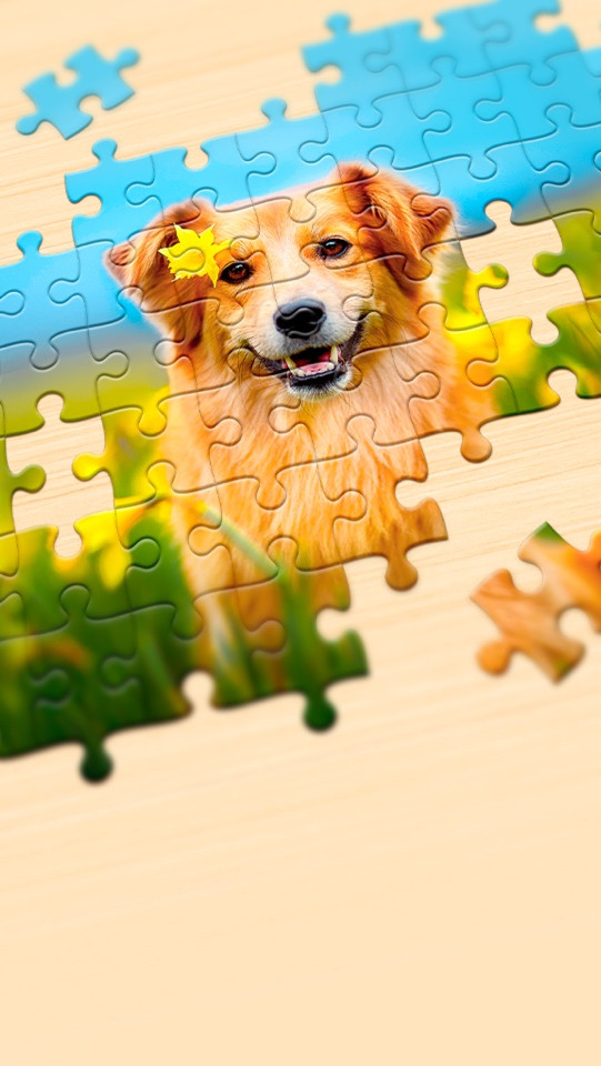 Art puzzle